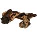 TM Aquatix Aquarium Wood Decoration Premium Pieces 100% Natural (40-50cm Mopani) - Buy Online on GoSupps.com