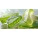 Aloe Vera Gel 4x125ml - Natural After-Sun Moisturizer for Face & Body | Travel Size | Sunburn Relief | Made in Germany - Buy Online on GoSupps.com