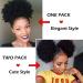 Afro Puff Drawstring Ponytail for Black Women Short Kinky Curly Afro Ponytail Synthetic Hair Afro Bun Drawstring Ponytail for Women Girls (Large/Pack of 1 Light brown-T27) Large (Pack of 1) Light brown (black background) - Buy Online on GoSupps.com