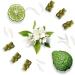 Happy Wax Spring Mix Scented Soy Wax Melts - 8 Oz. | Made in USA - Buy Online on GoSupps.com