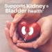 SpeedyVite Kidney Cleanse Supplement - 2 fl oz Drops - Buy Online on GoSupps.com