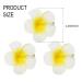 Jeweky Flowers Hair Clips - Set of 3 Plumeria Hairclips for Women and Girls | Beach Flower Hair Accessory - Buy Online on GoSupps.com