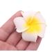 12Pcs White Hawaiian Plumeria Flower Hair Clip Set - Foam Hair Pins for Beach Wedding Party (2.4 Inch) - Buy Online on GoSupps.com