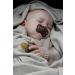 BIBS Couture Collection BPA-Free Baby Pacifiers from Denmark - Set of 2 Blossom Color Premium Soothers, 0-6 Months - Buy Online on GoSupps.com