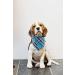Unique Style Paws Washable Dog Neck Triangle - Cotton for Small Medium Large Dogs & Cats - Bluegrid | 1 Pack - Buy Online on GoSupps.com