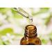 Shikakai Essential Oil 100% Pure & Natural - Undiluted Cold Pressed - for Aromatherapy Premium Oil Therapeutic Grade - 100 ML with Dropper Shikakai 100 ml (Pack of 1) - Buy Online on GoSupps.com