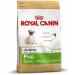 Royal Canin Pug Pug Junior 0.5 kg - Buy Online on GoSupps.com