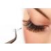4D Premade Volume Eyelash Extensions - Mix Length 8-14mm Russian Cluster Individual Eyelashes C Curl | Shop Internationally - Buy Online on GoSupps.com