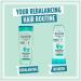 L'Oreal Elvive Extraordinary Clay Rebalancing Shampoo (400ml) & Conditioner (300ml) Set for Dry Roots & Dry Ends - Buy Online on GoSupps.com