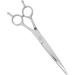 Hair Cutting Scissors Straight Hairdressing Shears Stainless Steel Tool for Home Salon - Buy Online on GoSupps.com
