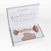 Osmosis Rose Quartz Roller & Gua Sha Set - Facial Massage Tools - Buy Online on GoSupps.com