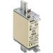 Buy SIEMENS NH Fuse Link - x3 Pack NH000 100 A with Front Indicator | International Shipping Available - Buy Online on GoSupps.com