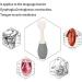 GLJY Food Grade Silicone Tongue Muscle Trainer | Portable & Non-Toxic Mouth Lip Muscle Trainer for Safe Use - Buy Online on GoSupps.com