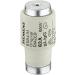 SIEMENS DIAZED Fuse Link 500V E33 50A - Pack of 5 | International Shipping Available - Buy Online on GoSupps.com