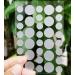 Hydrocolloid Acne Pimple Patch | 72 Fast Healing Dots | Vegan Cruelty-Free Spot Stickers for Zits & Blemishes - Skin & Face Care - Buy Online on GoSupps.com