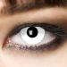 King of Halloween: Colored White Zombie Vampire Contact Lenses - Perfect for Halloween Carnival & Cosplay - No Visual Strength - Buy Online on GoSupps.com