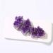 Natural Quartz Amethyst Cluster Stones Specimen Home Decoration Crafts Purple Crystal Sample 1Pcs Crystsl Cluster 30-40g Home Goods (Color : Crystsl Cluster Size : 40-50g) 40-50g Crystsl Cluster