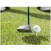 Kirkland Signature 3-Piece Urethane Cover Golf Ball - 2 Dozen Pack - Buy Online on GoSupps.com
