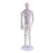 SDENSHI Model Anatomy Professional Medical Acupuncture Male 50cm 20" - Buy Online on GoSupps.com