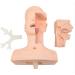 CHROX PVC Nasal Cavity Oral Suction Training Model (Medical Model) Advanced Suction Practice Model for Nursing Medical Training
