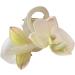New 2025 Butterfly Orchid Flower Hair Claw Cloth Barrettes Orchid Ponytail Clip Headdress Large Shark Clip Female Jewelry Fashion Accessories Creative Gift - Buy Online on GoSupps.com