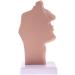 Nasal Cavity Throat Anatomical Model Pathological Nasal Pharyngeal Oropharyngeal Longitudinal Section Model - Buy Online on GoSupps.com