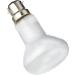 Komodo 75 Watt Basking Spot Bulb color may vary - Buy Online on GoSupps.com