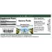 Senna Pods Glycerite Liquid Extract - 1:5 - Chocolate Flavored - 1 oz | Premium Herbal Supplement for Digestive Health - Buy Online on GoSupps.com