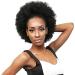 Large Afro Puff Hairpiece for Black Women | Curly Synthetic Chignon Wig with Drawstring & Clips - Size Q9 Medium - Buy Online on GoSupps.com