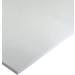 Bee Paper Rough Newsprint Pack, 18-Inch by 24-Inch, 100 Sheets per Pack 18-inch x 24-inch, 100 Sheet Pack