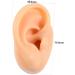 Healifty 4 Pcs Silicone Earrings Ear Piercing Jewelry Set - Soft Ear Models for Piercing Simulation - Human Body Ear Models - Assorted Colors - Buy Online on GoSupps.com