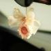 Sunflower Essential Oil Diffuser - Cute Car Air Freshener & Hanging Pendant for Aroma - Automotive Decor (Champagne Sunflower - Buy Online on GoSupps.com