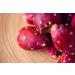 Herbal Magic Prickly Pear Fruit Powder - Nopal Cactus 200g - Pure & Natural Blend for Vibrant Smoothies, Skin & Hair Care - Family of Beetroots & Dragon Fruit - Free from Fillers & Preservatives - Buy Online on GoSupps.com