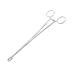 YNR Reptile Feeding Clip Pet Raising Feeding Tool Reptile Terrarium Tongs Tweezers for Tortoise Lizard Frog Spider Tarantulas (9.5 Inches)
