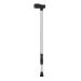 Cane Adjustable Canes and Walking Sticks for Men and Women Walking Cane Stick for Elderly Witht Handle Silver (Silver) Innovate