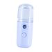 BIUDECO 1pc Portable Humidifier Face Mister Sprayer Cool Facial Mister Hydrating Instrument Miss Plastic Usb 14.5X4CM Blue