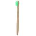 Toothbrush Soft Nylon 6 Colors Recyclable Toothbrushes for Person Oral Care Blue (Green)