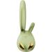DIARY PICE International Shior Lass Wall Hook - Shower Razor Handbook Hooks Hanging Wall Organizer Kitchen Key Holder - Stylish Orange Home Storage Solution - Buy Online on GoSupps.com