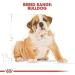 Royal Canin Dog Food Bulldog Puppy 12Kg - Buy Online on GoSupps.com