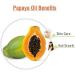 Crysalis Papaya 100% Pure & Natural Undiluted Cold-Pressed Carica Papaya Carrier Oil Organic Standard with Dropper for Skin & Hair Care Nourishes Skin & Removes Dark Spots Promotes Healthy Hair-50ml 50 ml (Pack of 1) - Buy Online on GoSupps.com