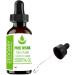 Pure Herbs Zedoary Essential Oil (50 ml) - Premium Curcuma Zedoaria for Aromatherapy & Wellness | International Shipping Available - Buy Online on GoSupps.com