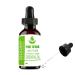 Pure Herbs Zedoary (Curcuma Zedoaria) Essential Oils (50 ml)