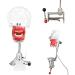 Dental Simulator Manikin Phantom Head Model with Bench Mount - Educational Teeth Model for Dental Training (Table Type) - Buy Online on GoSupps.com