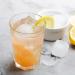Organic Vegan Kombucha SCOBY - Fresh 1 Litre Fermented Tea Starter Culture - Buy Online on GoSupps.com