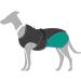 HUNTER UPPSALA COZY Dog Coat - Water-Repellent Reflective Winter Jacket (Anthracite/Petrol) - Size 40 - Shop Internationally! - Buy Online on GoSupps.com