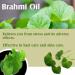 BRAHMI Oil - 100% Natural Pure Undiluted Unpolished Oil for Hair & Skin | International Shipping Available - Buy Online on GoSupps.com
