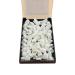 Doc.Royal Temporary Crown Veneers Anterior Front Teeth (1BoX)
