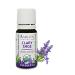 Organic Clary Sage Essential Oil 100% Pure Undiluted Salvia sclarea Therapeutic Grade Premium Quality Aromatherapy oil Tested & Verified 5ML 0.34 Fl Oz (Pack of 1)