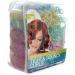 Conair Brush Rollers 36-Piece Set for Effortless Curls & Body - Buy Online on GoSupps.com