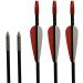 JJZS 12 Pack 100 Grain Glue-On Field Points for Target Aluminum and Wood Arrows - Buy Online on GoSupps.com